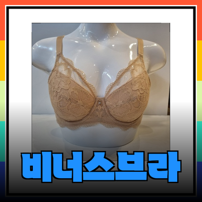 비너스브라로 완벽한 실루엣을 만들기 위한 모든 정보