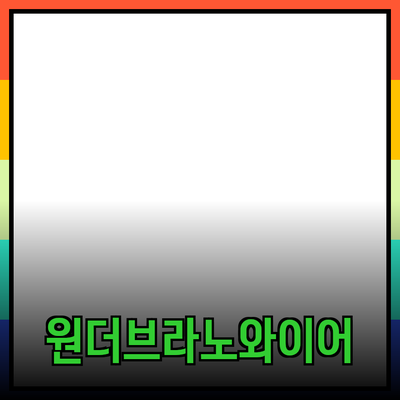 완벽한 하루를 위한 원더브라노와이어 추천 제품 가이드
