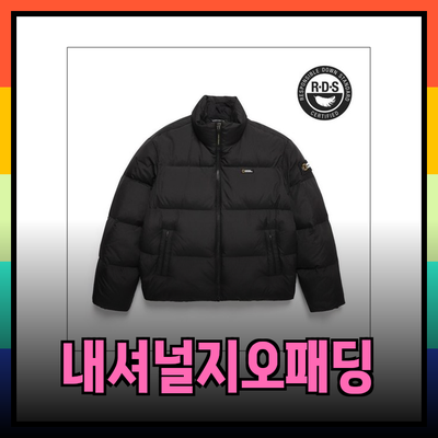 2024 내셔널지오그래픽 패딩 시리즈: 겨울 필수 아이템 소개
