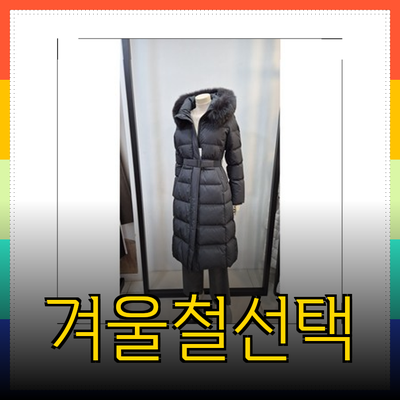 겨울철 완벽한 선택