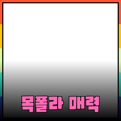목폴라의 매력과 다양한 활용법