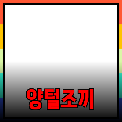 양털조끼의 매력과 활용법: 당신의 스타일을 완성해 줄 필수 아이템