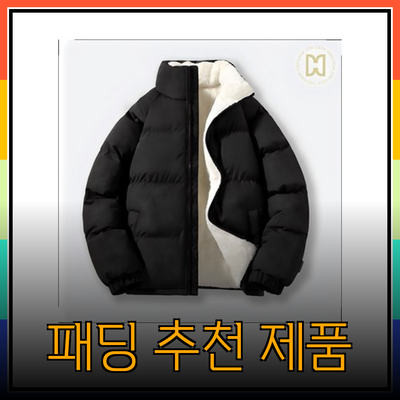 완벽한 겨울을 위한 파타고니아 패딩 추천 제품들