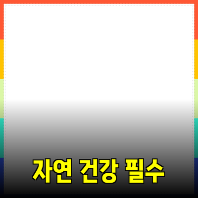 자연을 담은 건강한 라이프스타일: 필수 제품 소개