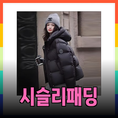 겨울철 필수 아이템! 시슬리패딩 완벽 가이드
