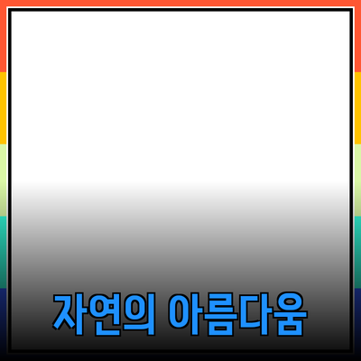 자연을 담은 아름다움